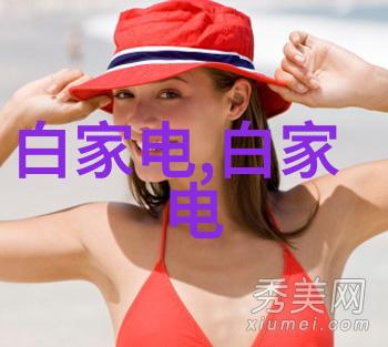 智能交通信号灯我是如何和智能交警成为朋友的