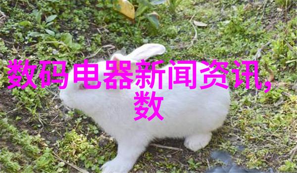 国士成双情深缘起的传奇