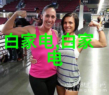 高频振荡与热传递微波杀菌的核心机制