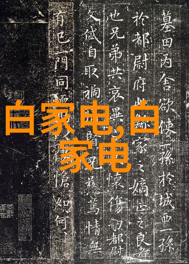 西南财经政法大学学术与实践的双刃剑探索经济政治法律教育的融合之美