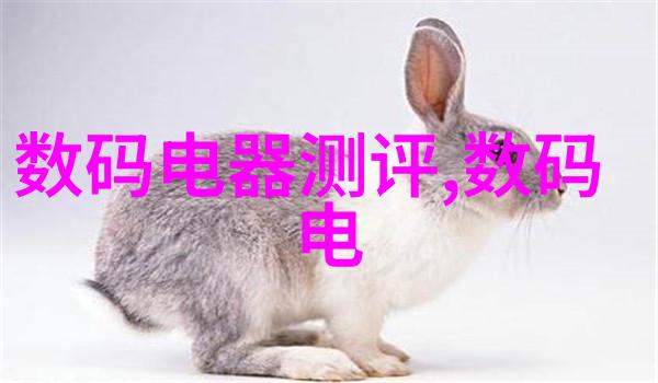 cba视频直播的社会影响与文化意义探究