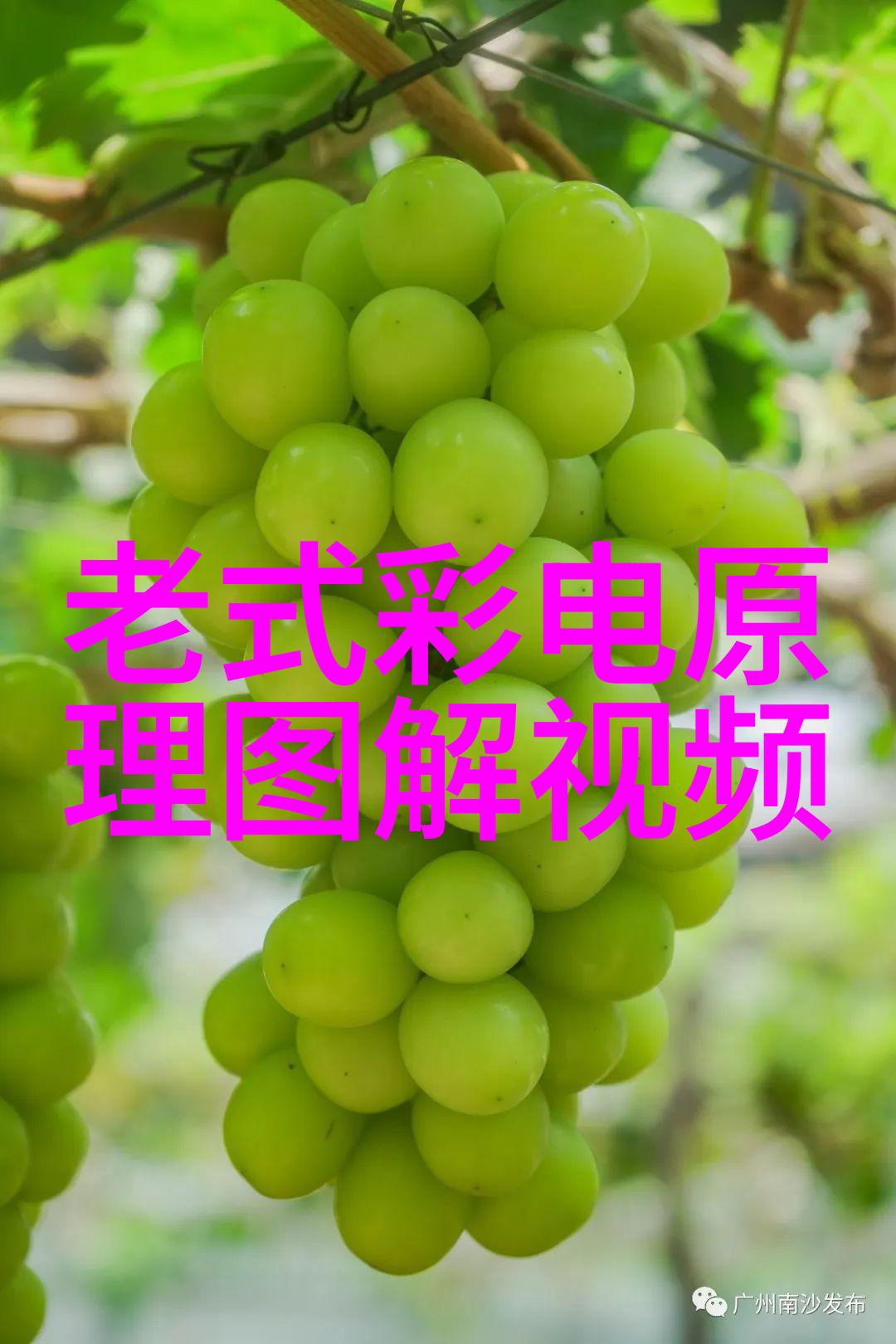 建筑工程-扣件式脚手架的安装与安全运用