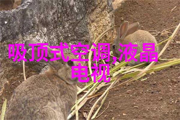 振动电机智能控制技术与应用