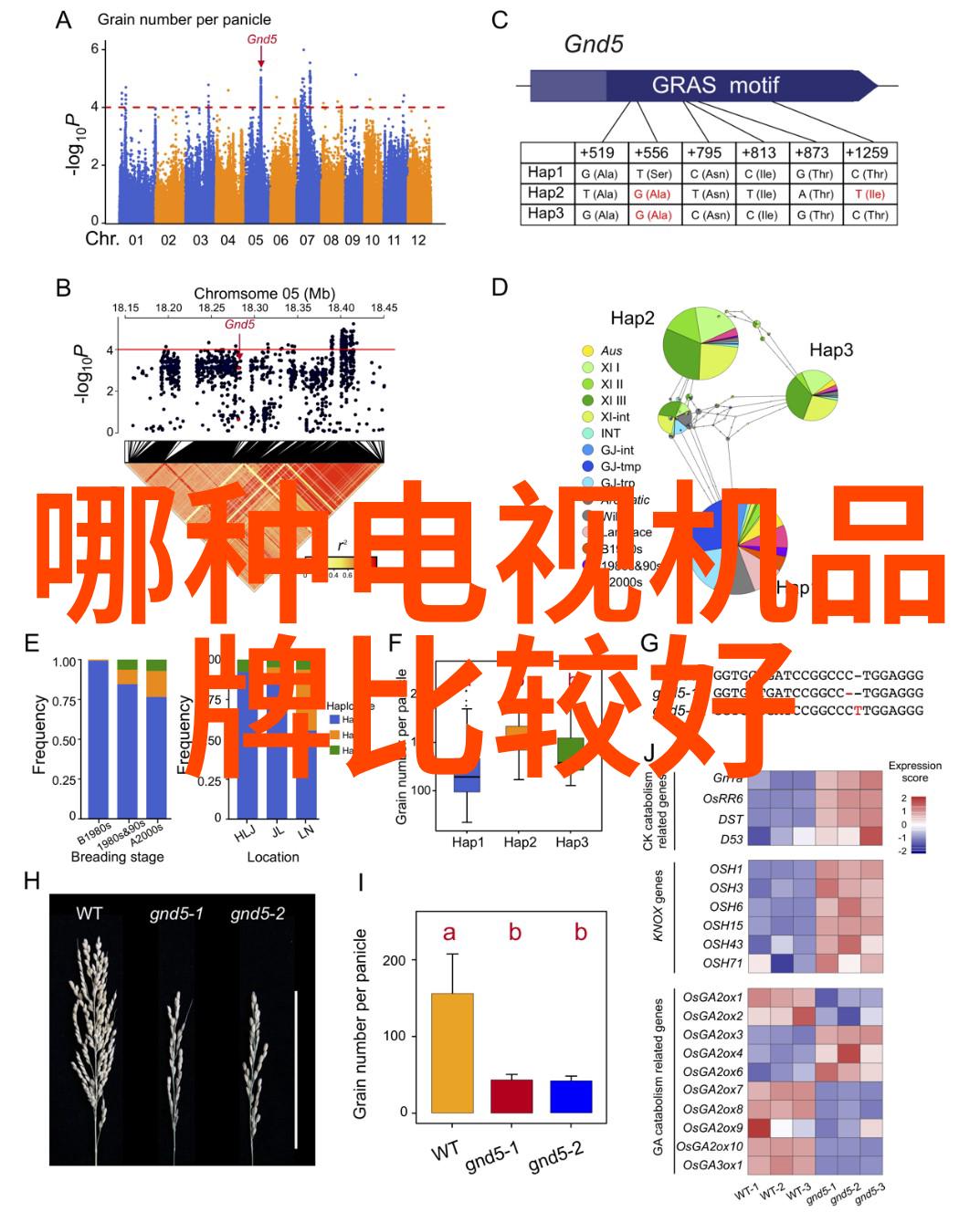 宁波市内十佳装修公司推荐打造理想居所的最佳选择
