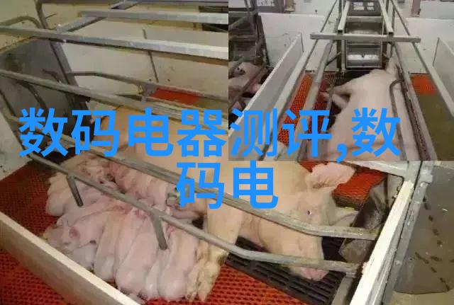 取名字生辰八字起名命中注定之美
