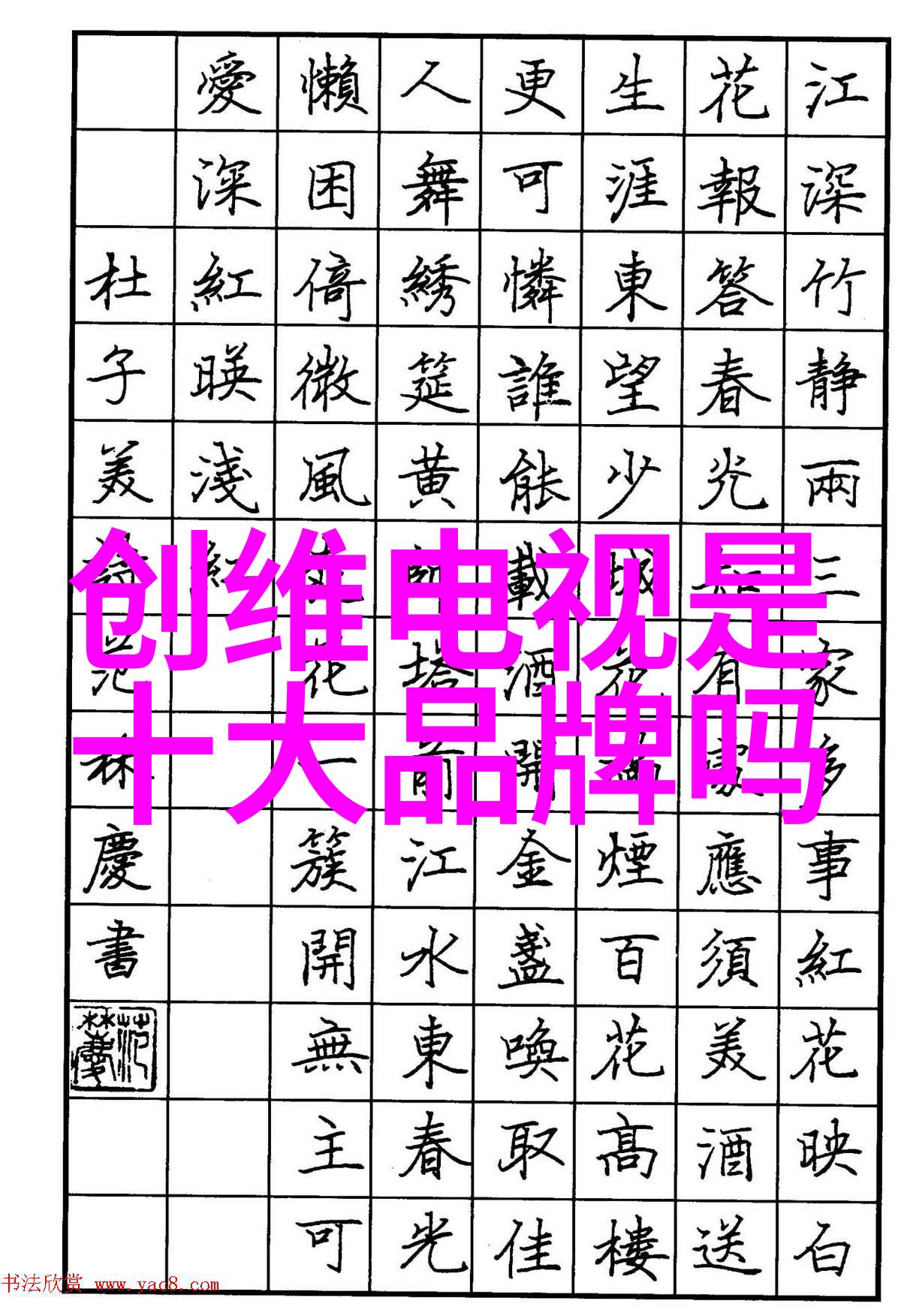 镜头背后的人摄影师的故事与成长