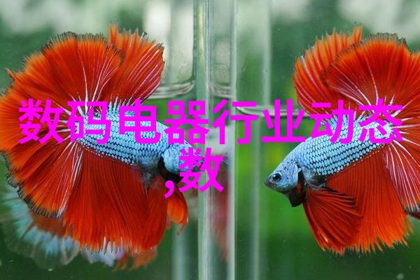 学府争辉河南财经政法大学的学术地位探究