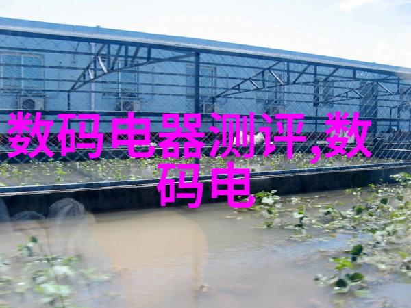 家居新篇章从杂乱到精致的全屋整装之旅