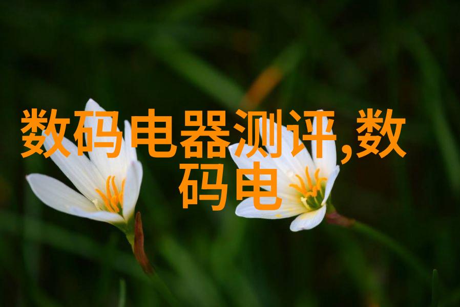 水中探秘多功能水质检测笔的神奇之处