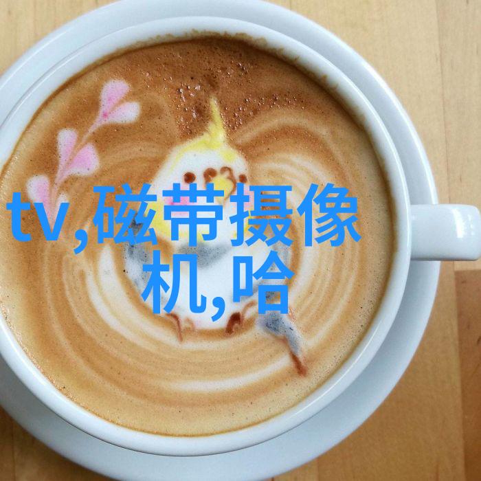 公共空间设计规范提升城市生活品质的策略