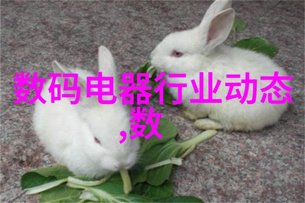 智能装备是做什么的-探索智能时代的助手与创新驱动者
