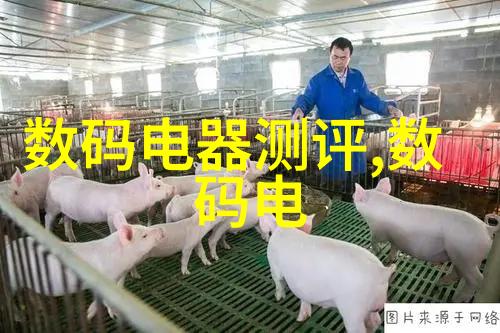 市场是什么它是连接供需双方的桥梁还是一个不断变化的神秘森林