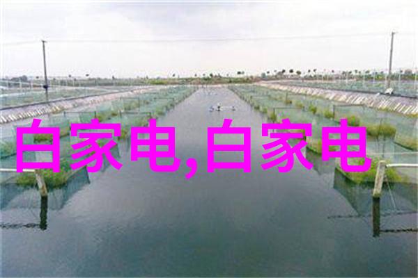 人防设计我是怎么学会避开危险的