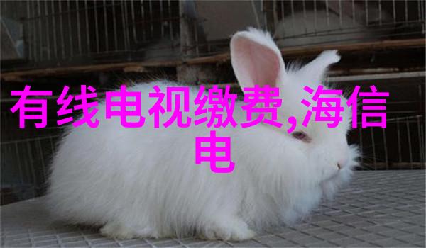 张捷财经观察深度剖析金融市场动态
