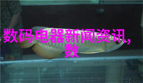 机翼之梦输送带的诗篇
