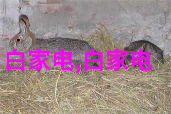 东营地区最新潮流网名推荐苹果免费体验版2021年新势力