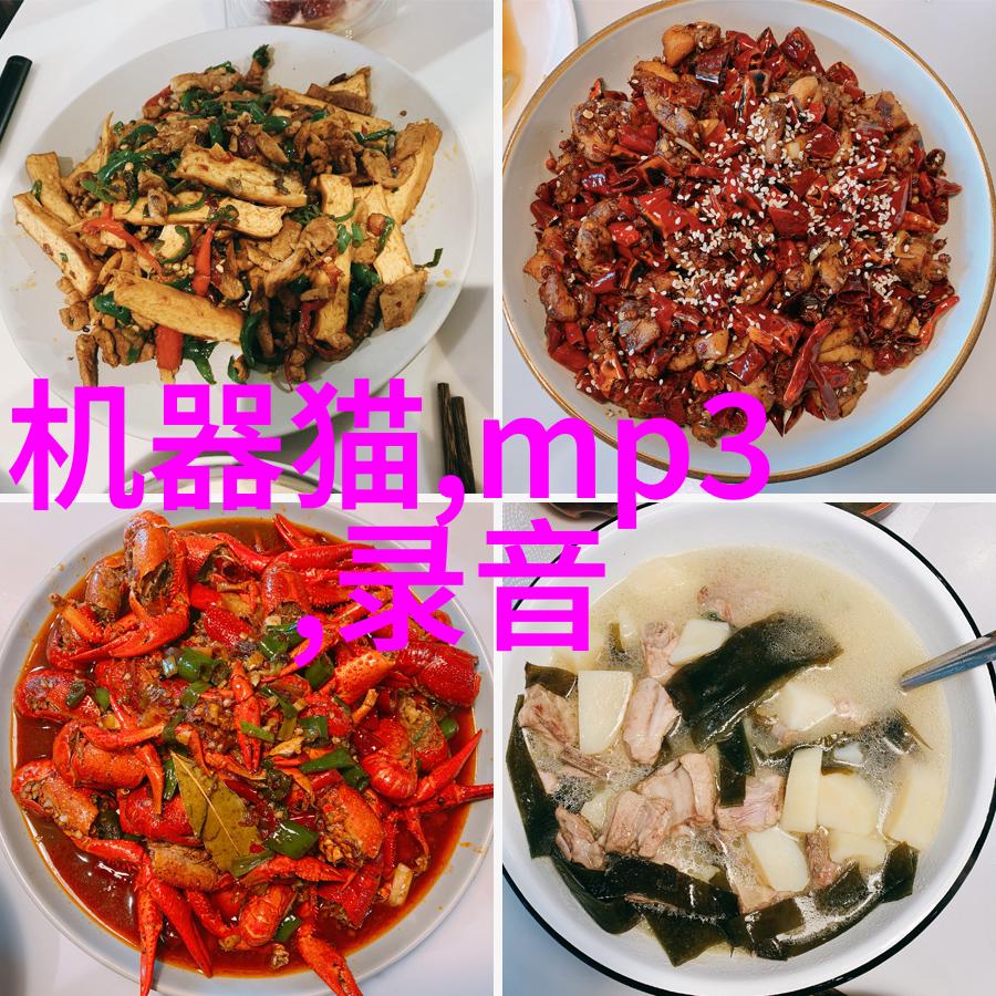 中国镜头之旅十位摄影师的艺术探索