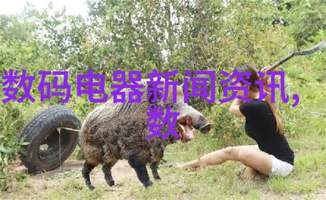 空间交响曲换位思考的诗篇