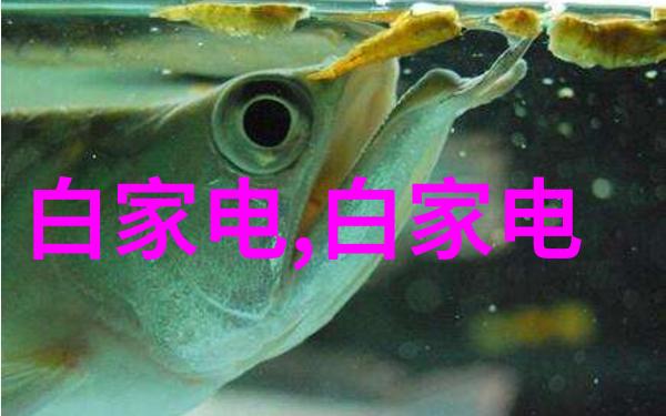 为何一些人选择不通过银行进行房屋购买而是寻求其他非传统金融机构提供的服务