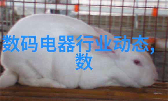 厚重瓷砖与玻璃地面板相比哪种更适合湿气多的厨房卫生间