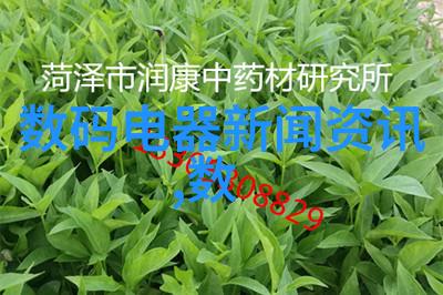 大型商用净水器设备-高效滤波技术的应用保障企业饮用水安全的关键因素