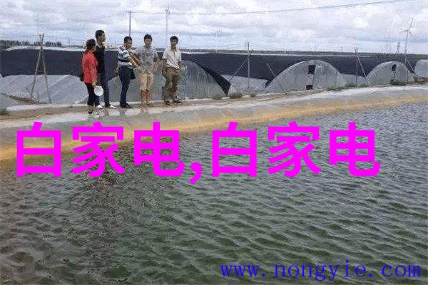 三翼鸟家务学院开课啦智慧型男或将成为新生活潮流