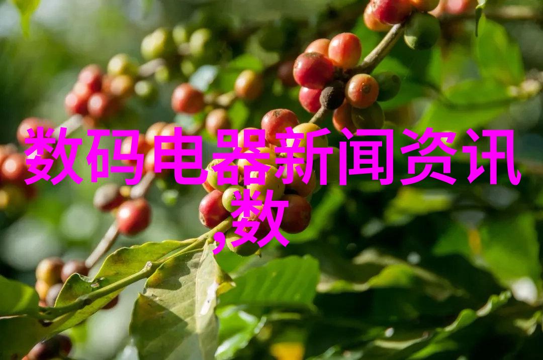 中械自动化设备有限公司对于员工培训和发展有什么具体措施