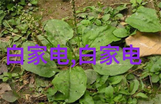宁夏圣华化工设备有限公司专注于化学工业的技术革新与设备优化