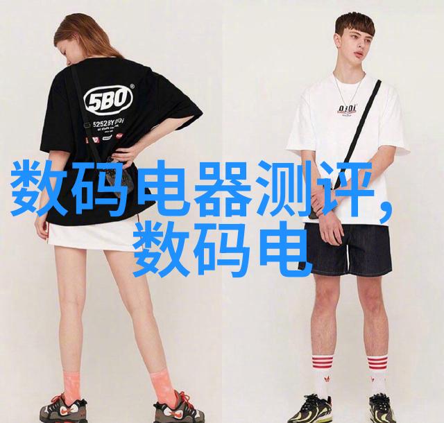 集成电路员工收入增加对社会公平性的影响如何评估