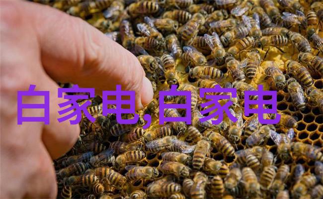 中国制药机械设备 - 国产药机新星中国制药机械设备行业的创新与发展