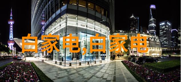 智能手机与可穿戴设备的边界探索一款双重身份的科技奇迹