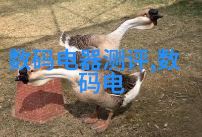 北森人才测评揭秘职业匹配之谜