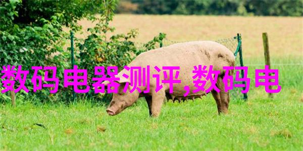 领先技术全球仅有几家能生产7nm芯片的厂商