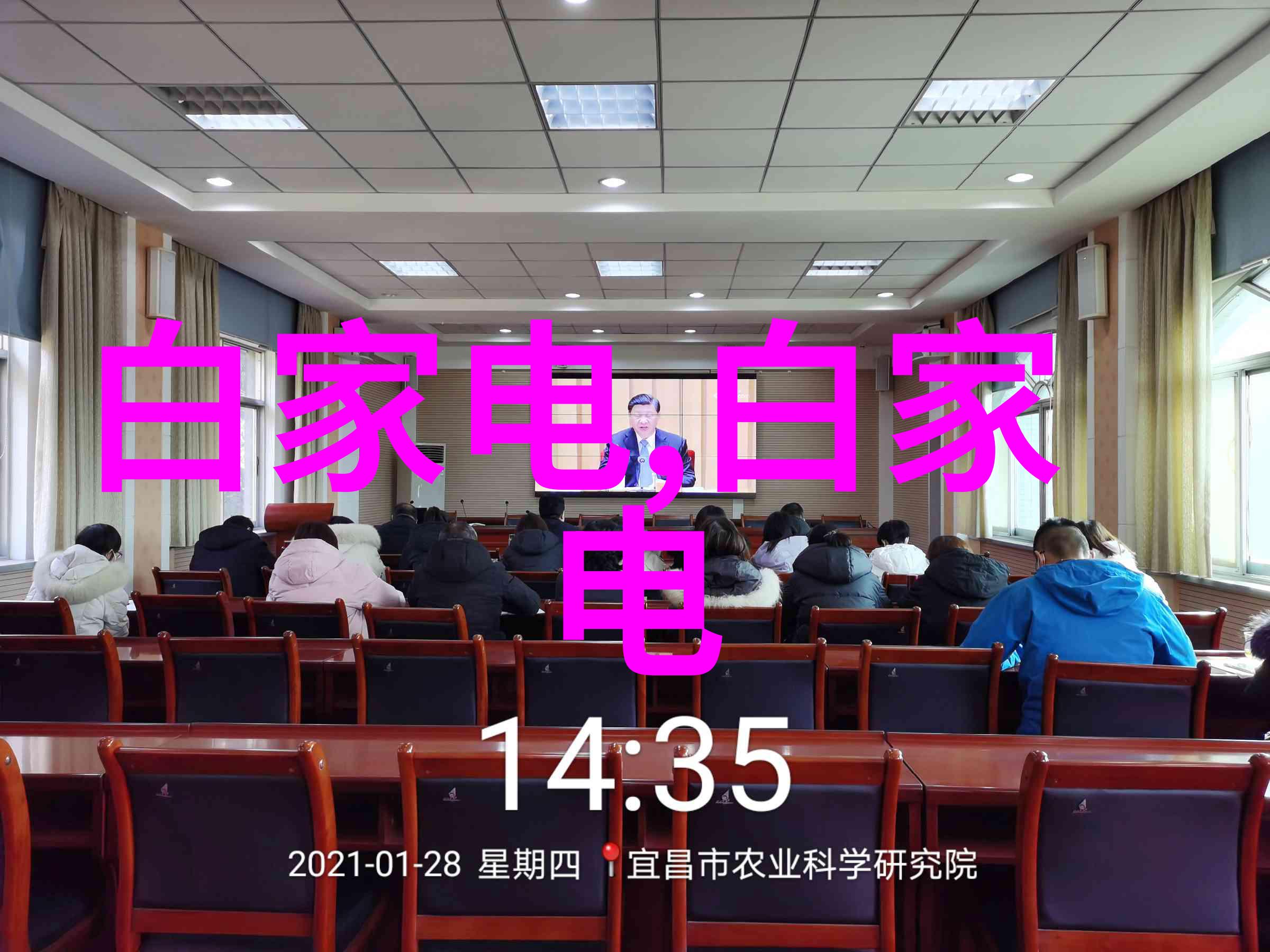 芯片世界探索各式各样的微型电子大师