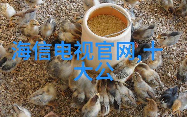 化工设备设计全书-精密制造与安全性能优化化工设备设计全书中的关键技术探究