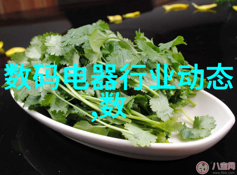 污水填料种类概述