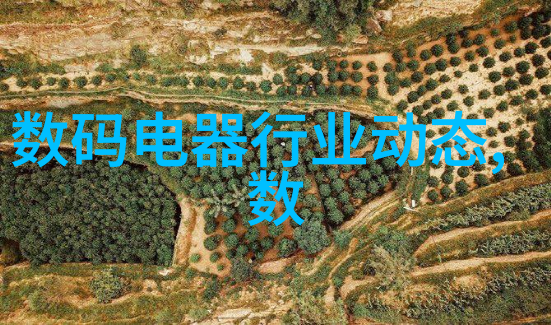 个人专利申请流程详解如何高效申请个人专利