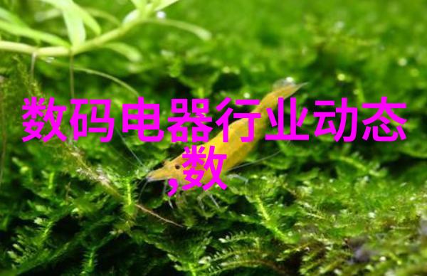 坐在鸡上写作业的痛苦与观看世界的慰藉