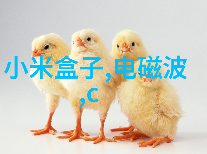 开题报告怎么写我的学术启蒙之旅