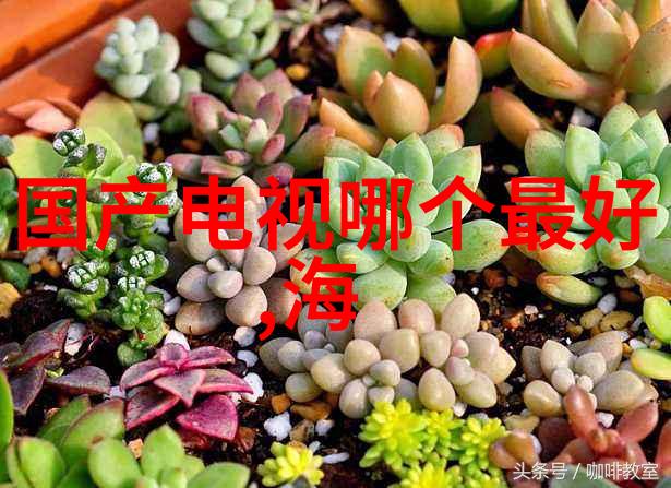书柜的故事收藏与回忆之间的对话