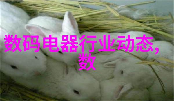 永璂记简介揭秘古代帝王的沉浮史