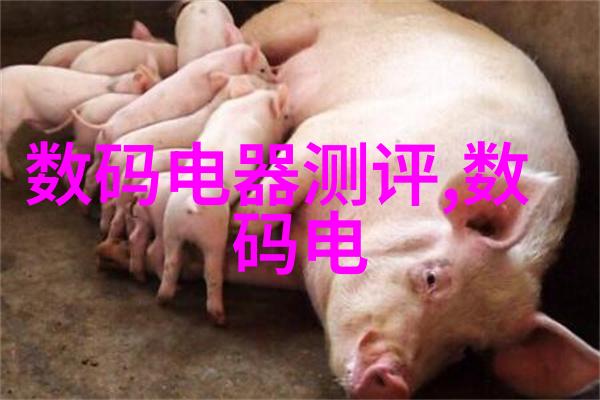 家居美学-温馨雅致的卧室装修效果图创造宁静之地