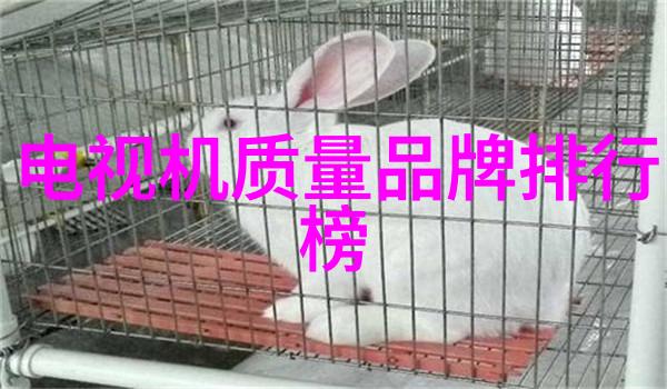 我眼中的美这张照片让我心动了
