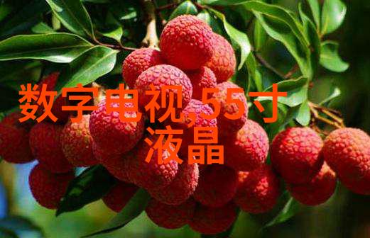 法国Oxypharm过氧化氢微生物消毒器中国十大杀菌锅排名中的角色分析