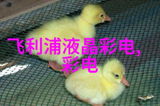 华为新品发布会我亲眼见证的科技革命