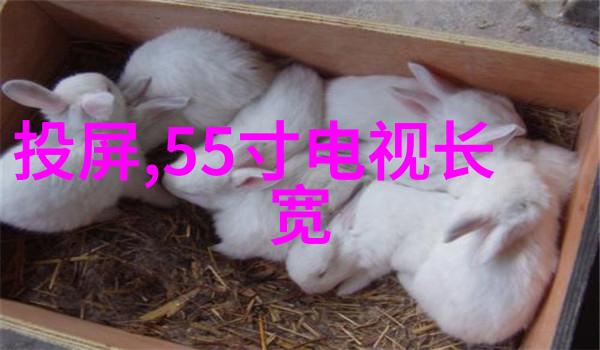 股市风云录世联行的逆袭之旅