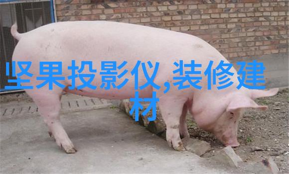 数据分析师职业技能评价证书专业的数据处理与解读