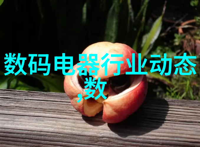武藤兰作品中文名探秘忍者世界中的诗意与力量