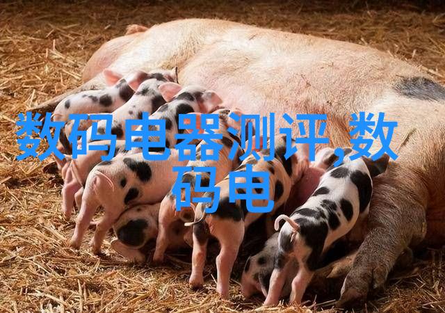 市场监管人员名单公布确保产品质量与服务安全