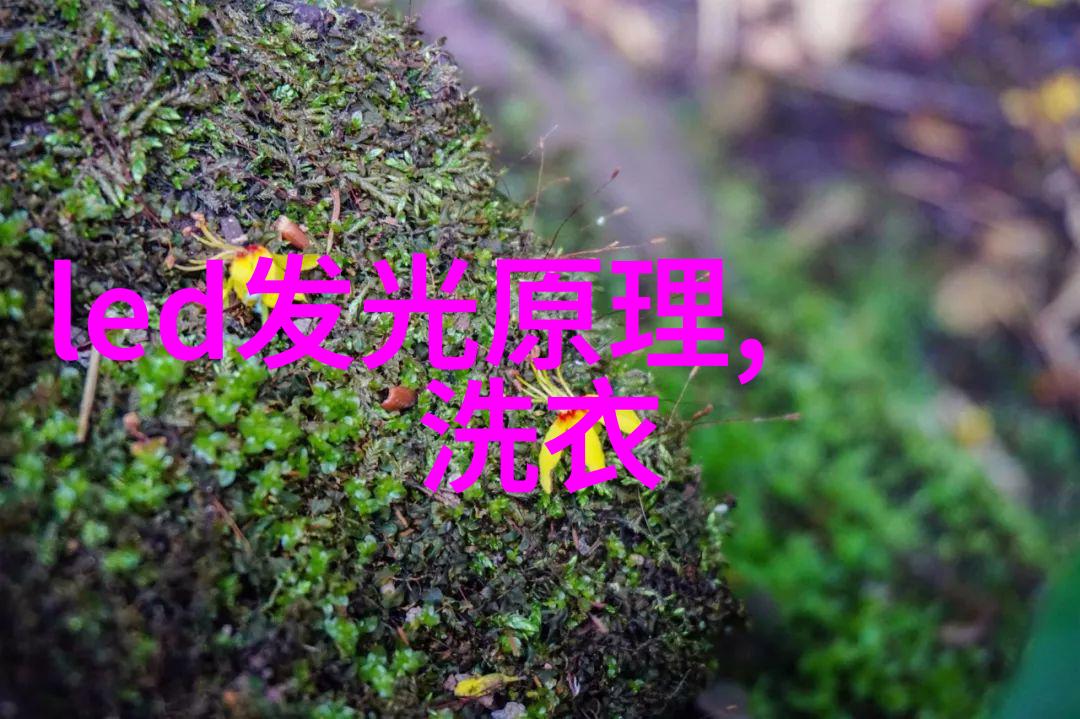 技术与创新-中国专利查询系统官网探索知识产权的宝库